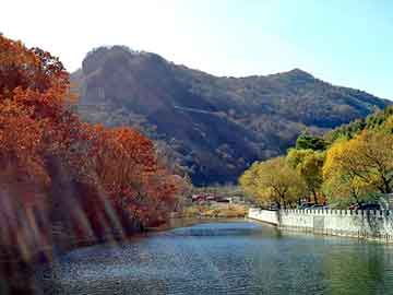 正版澳门天天开彩大全，小型干冰制造机